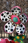 Wall_Art_Alphabet_Photography_Art_ 1751